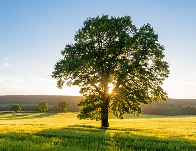 必发888(唯一)官方网站