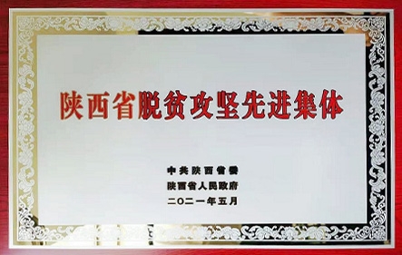 必发888(唯一)官方网站